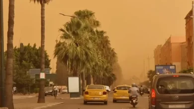 نشرة إنذارية برتقالية تحذر من رياح قوية وتطاير غبار تطال عدة مناطق مغربية يوم الاثنين